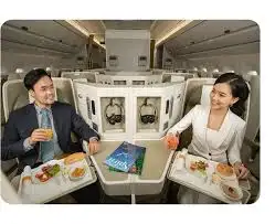 Fly Green and Clean, Experience a New Era of Eco-Friendly Air Travel